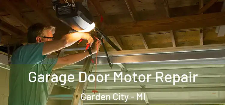  Garage Door Motor Repair Garden City - MI