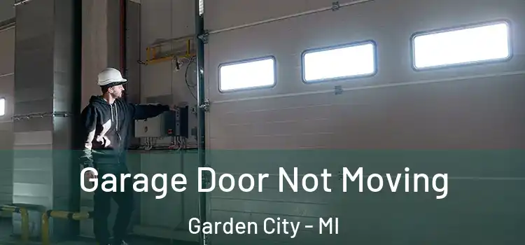  Garage Door Not Moving Garden City - MI