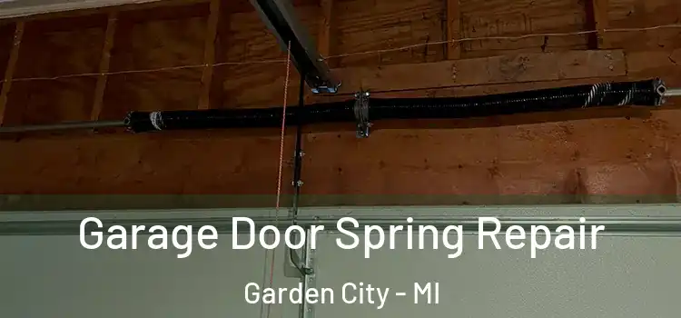  Garage Door Spring Repair Garden City - MI