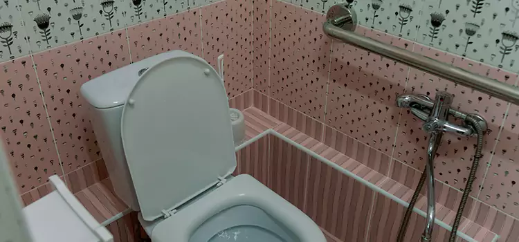 Meeting Diverse Needs With Accessible Restroom Solutions in Garden City, MI
